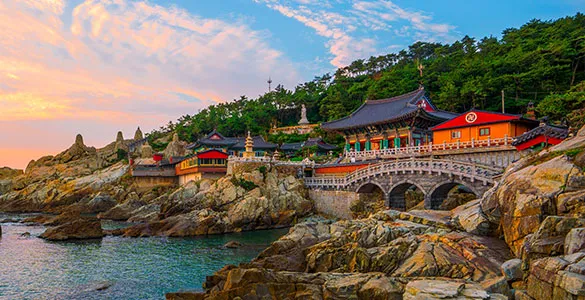 top-busan-excursions-for-temples-markets-beaches-and-culture-mid-content-1